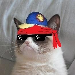 thescrubbycat's profile picture. Just a cat that can't not be scruBBBY