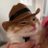 haveninthehills's profile image