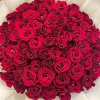 الكاسر (@trkylym19067869) Twitter profile photo