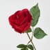 MANU (@aayiramthala123) Twitter profile photo MANU (@aayiramthala123) Twitter profile photo