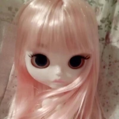 northd0ll's profile picture. خوباثااا ههههه😸