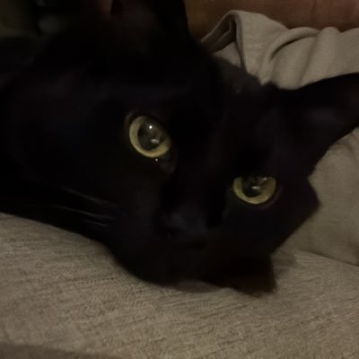 dudaさんのプロフィール画像