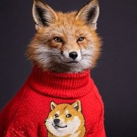 Zoltan Continuum (@zoltan_doge) 's Twitter Profile Photo Zoltan Continuum (@zoltan_doge) 's Twitter Profile Photo