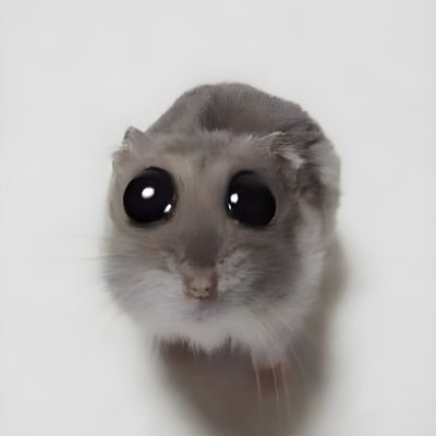 _lahamster's profile picture. 💹 at the forefront of cryptocurrency. Here to earn and share experiences.
