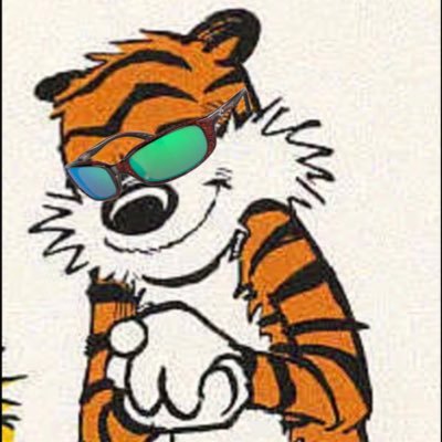 Clemson Man | The Phi Tau Fanatic | Pro Gentrification