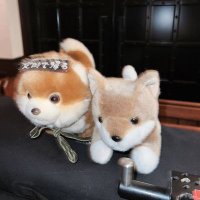 塩 (@nkhyrs) 's Twitter Profile