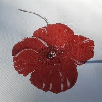 Ken Savitri (@kensavitri35075) 's Twitter Profile Photo