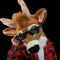 Lights! (@docdeerlights) 's Twitter Profile