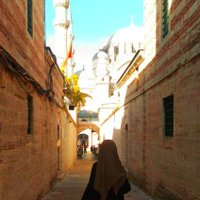 Merv (@merv_ns) Twitter profile photo