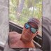 Florida_Man_Rob (@alphatileist) Twitter profile photo Florida_Man_Rob (@alphatileist) Twitter profile photo