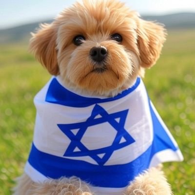 jd1997's profile picture. 
