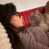 π|d (@thestelladery) 's Twitter Profile