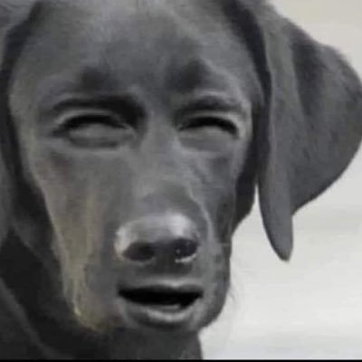 WeligtonAlves3's profile picture. Reconectando com a sociedade