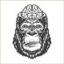 BioDeveloperGlowRivierashxlive (@developerg13263) Twitter profile photo BioDeveloperGlowRivierashxlive (@developerg13263) Twitter profile photo