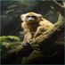 Eugenio Miguel Sandoval (@miguel_san89826) Twitter profile photo Eugenio Miguel Sandoval (@miguel_san89826) Twitter profile photo