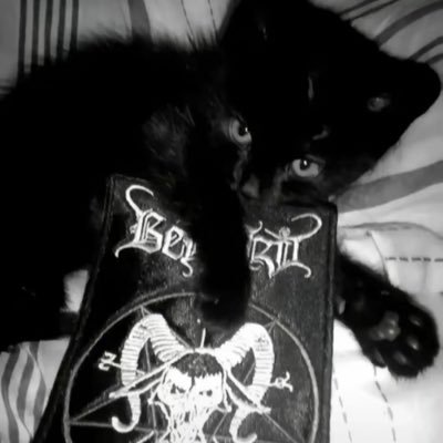 HanFangyu22101's profile picture. Per aspera ad astra *✩ ⭒˚ 𓇼 𓂂𓈒𓏸