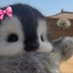 Mayte (@mayteeeaye) Twitter profile photo Mayte (@mayteeeaye) Twitter profile photo