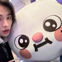 Bel' VIU O SKZ !!!!!!!! (@bellmarih) 's Twitter Profile
