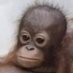 alek (@nietzschefriend) Twitter profile photo alek (@nietzschefriend) Twitter profile photo
