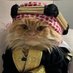CEO Of القطط السخيفة (@alltaric) Twitter profile photo CEO Of القطط السخيفة (@alltaric) Twitter profile photo