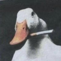 Slapjaw Johnson (@dirttmcgurtt) 's Twitter Profile