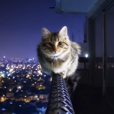 I’m going to get you