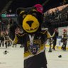 Panthersmascot's profile picture. Official Twitter account of PAWS! 

Mascot of the 🏆 2016-17 #ContinentalCup Champions & 🏆2024-25 #EIHLPlayoff Champions @PanthersIHC 

💛🖤#AJ47 1994-2023🖤💛