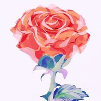 花火 ✧ * 。 (@huyuno_hanabi) 's Twitter Profile
