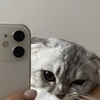 White (@whiteexd1) 's Twitter Profile