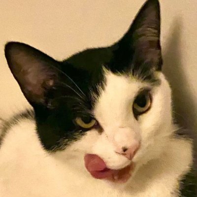 ✿ ❁ ❋ ✤ Profile
