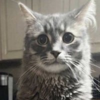 ً (@irazxz) 's Twitter Profile Photo