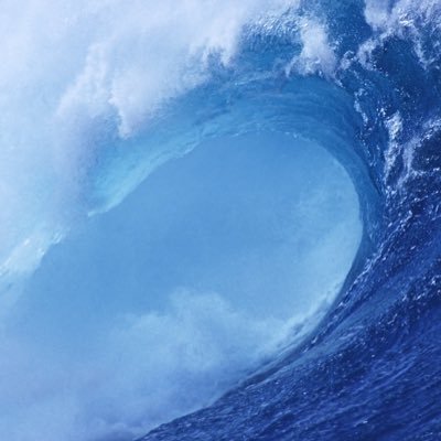 idkwhattoputlo0's profile picture. 