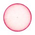A Lil Radish (@a_lil_radish) Twitter profile photo A Lil Radish (@a_lil_radish) Twitter profile photo