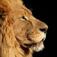 Çoban🕊🇹🇷 (@611512estergon) 's Twitter Profile