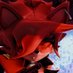 ๐บ๐๐๐๐ ๐ ๐๐๐๐ (@8000_omega) Twitter profile photo ๐บ๐๐๐๐ ๐ ๐๐๐๐ (@8000_omega) Twitter profile photo