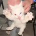 pooh🕳️ (@olpenin) Twitter profile photo pooh🕳️ (@olpenin) Twitter profile photo