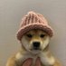 nathan reyna (@nathanr06903641) Twitter profile photo nathan reyna (@nathanr06903641) Twitter profile photo
