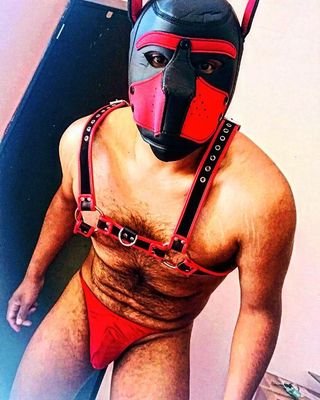 perfil no apto para 🔞, amante de los peludos y pollitos peludos