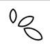 Blossom Fund (@blossomfund) Twitter profile photo Blossom Fund (@blossomfund) Twitter profile photo