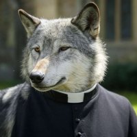 Dr Wolf (@drwolf333333) 's Twitter Profile Photo Dr Wolf (@drwolf333333) 's Twitter Profile Photo