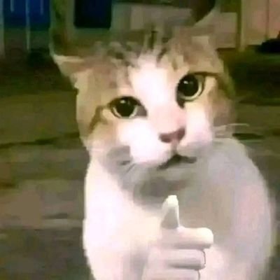 cangrejo1720's profile picture. 