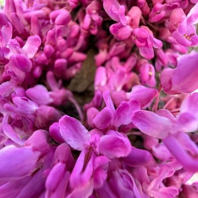 AskingFuture's profile picture. Asking questions for a better future