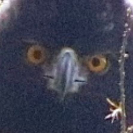 annimo500287949's profile picture. Perfil creado para mirar y no para pelear. Te deseo un feliz día.