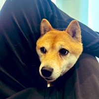 tearsAT (@tearsat1) 's Twitter Profile