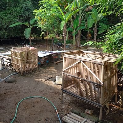 Hazira45's profile picture. 