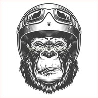 JimBryan Masuda (@jimbryanma55469) 's Twitter Profile