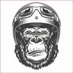 JimBryan Masuda (@jimbryanma55469) Twitter profile photo JimBryan Masuda (@jimbryanma55469) Twitter profile photo
