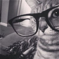 ren (@umorealist) 's Twitter Profile Photo ren (@umorealist) 's Twitter Profile Photo