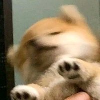 Miss Nut✨ (@miss_nut_nox) 's Twitter Profile