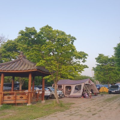 Forest_Glow9's profile picture. 